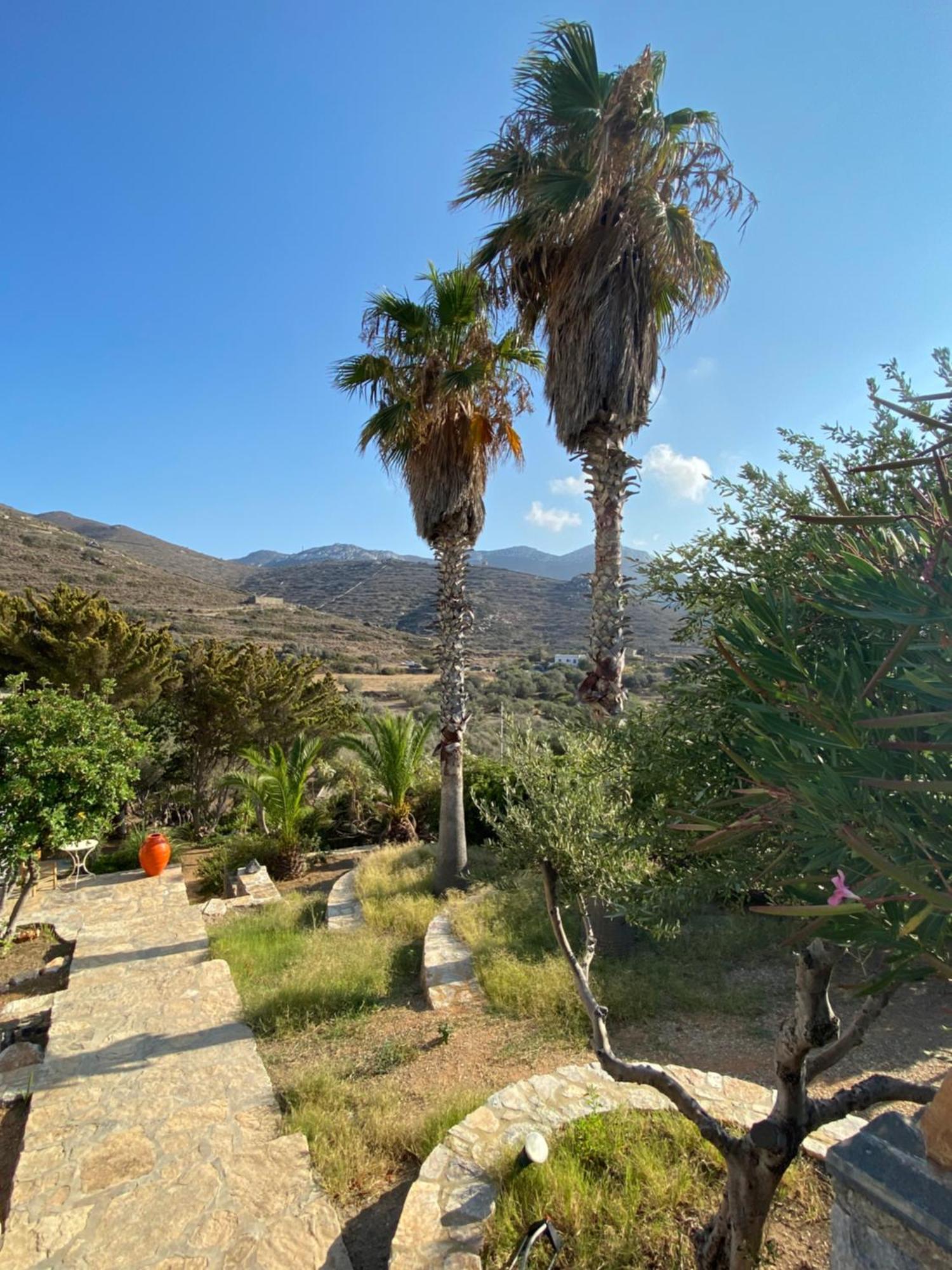 Apaggio Apartments Katapola Bagian luar foto