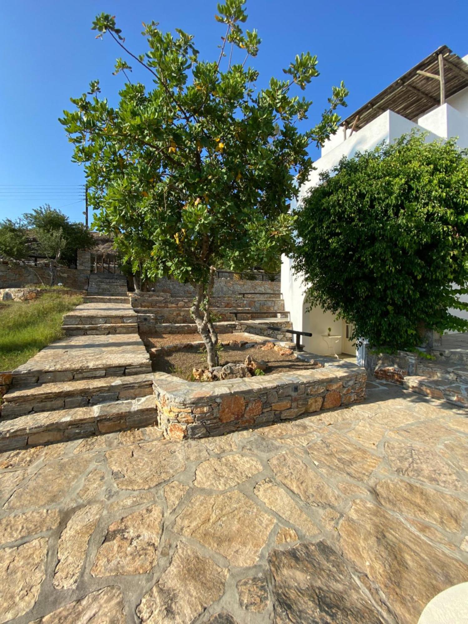Apaggio Apartments Katapola Bagian luar foto